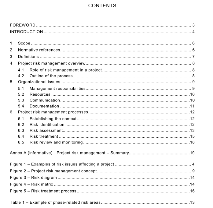 BS IEC 62198 pdf download